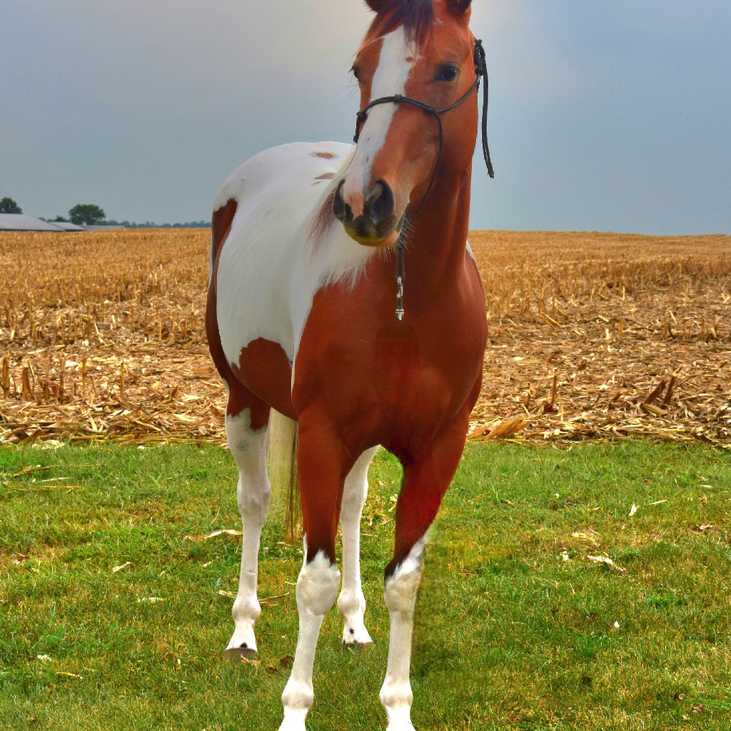 Featured photo